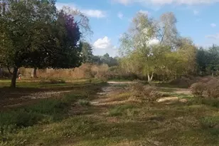 41640 Hwy 6 N Hwy, Hempstead, TX 77445 - Photo 6