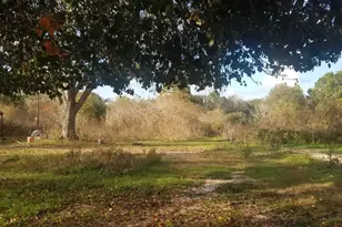 41640 Hwy 6 N Hwy, Hempstead, TX 77445 - Photo 8