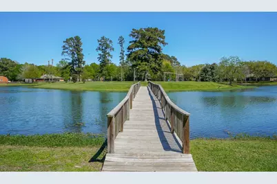 18919 Wildrose Lane, Tomball, TX 77377 - Photo 44