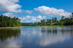 1026 Pleasant Pines Ln, Pinehurst, TX 77362 - Photo 48