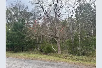 22 S Forest Cove Loop, Coldspring, TX 77331 - Photo 2
