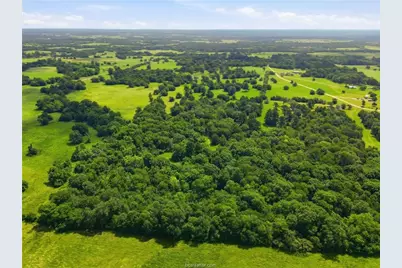 Tbd Fm 2562, Anderson, TX 77830 - Photo 6