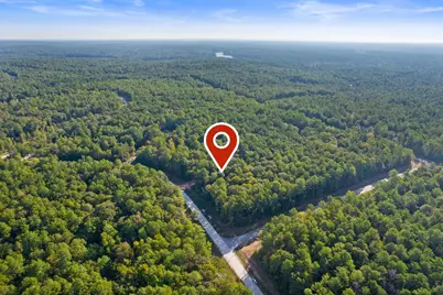 244 Remington Road, Huntsville, TX 77340 - Photo 4