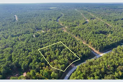 244 Remington Road, Huntsville, TX 77340 - Photo 2