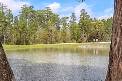 244 Remington Road, Huntsville, TX 77340 - Photo 12