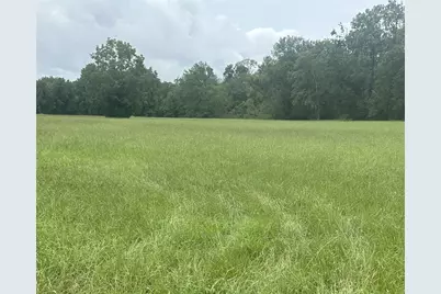 3935 Spring Branch Road, Montgomery, TX 77316 - Photo 4