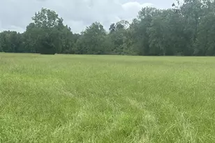 3935 Spring Branch Rd, Montgomery, TX 77316 - Photo 4