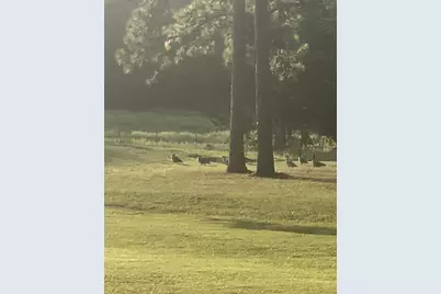 3935 Spring Branch Road, Montgomery, TX 77316 - Photo 34