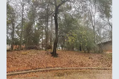 3503 Woodland Lane, Montgomery, TX 77356 - Photo 2