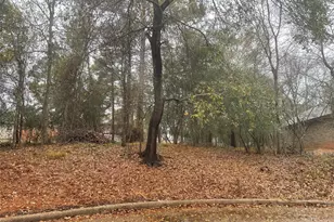 3503 Woodland Ln, Montgomery, TX 77356 - Photo 2