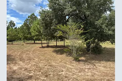 1160 Alleyton Road, Columbus, TX 78934 - Photo 24