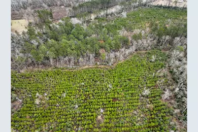 4 Fm 2626, Newton, TX 75966 - Photo 2