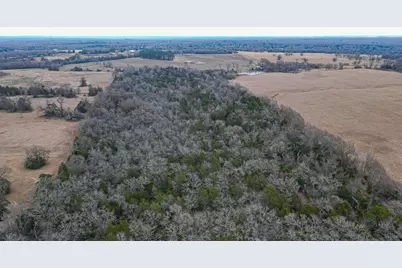 Tbd Lcr 705, Kosse, TX 76653 - Photo 14