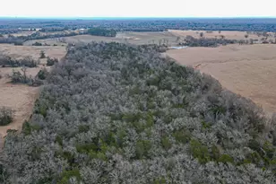 Tbd Lcr 705, Kosse, TX 76653 - Photo 14