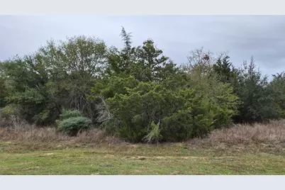 Lots 1-10 Shepard, Hempstead, TX 77445 - Photo 2