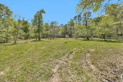 17174 Tierra Buena Drive, Plantersville, TX 77363 - Photo 50