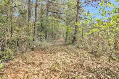 17174 Tierra Buena Drive, Plantersville, TX 77363 - Photo 46