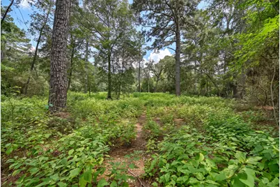 3340 County Road 325, Navasota, TX 77868 - Photo 6
