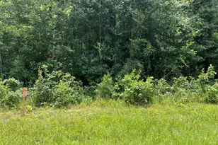 25416 Cambridge Blvd, New Caney, TX 77357 - Photo 1