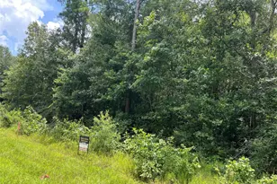 25416 Cambridge Blvd, New Caney, TX 77357 - Photo 4