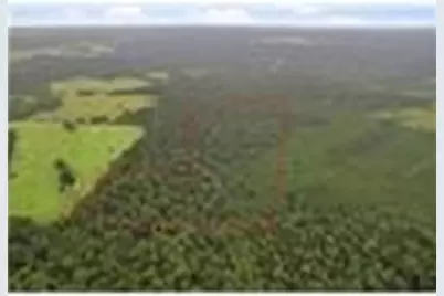 [Address not provided], Lovelady, TX 77854 - Photo 10