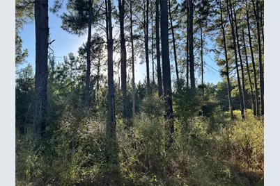 [Address not provided], Lovelady, TX 77854 - Photo 1