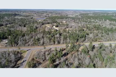 317 Iron Horse Road, New Waverly, TX 77358 - Photo 2