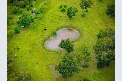 3667 Clemons Switch Road, Brookshire, TX 77423 - Photo 44