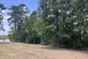 28435 Mendecino Glen Ln, Houston, TX 77336 - Photo 4