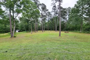 129 Jim Hall Ln, New Waverly, TX 77358 - Photo 8