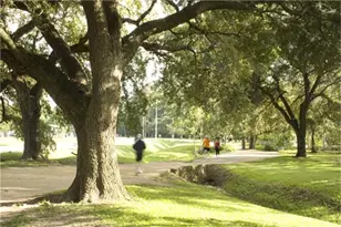 5248 Memorial Dr, Houston, TX 77007 - Photo 24