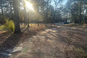 24304 Oak Run, Magnolia, TX 77355 - Photo 10