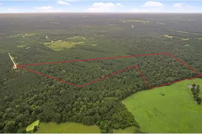 Tract 12 Fm 230, Lovelady, TX 77854 - Photo 8