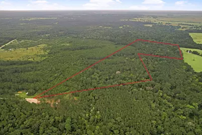 Tract 12 Fm 230, Lovelady, TX 77854 - Photo 10