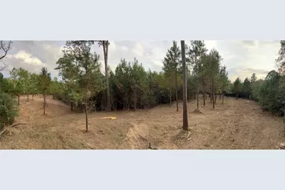 Tract 12 Fm 230, Lovelady, TX 77854 - Photo 4