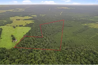Tract 12 Fm 230, Lovelady, TX 77854 - Photo 12