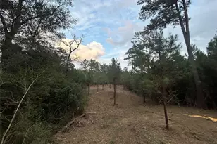 Tract 12 Fm 230, Lovelady, TX 77854 - Photo 1