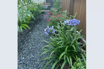 4035 Shackleton Court, Iowa Colony, TX 77583 - Photo 32