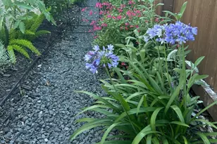 4035 Shackleton Ct, Iowa Colony, TX 77583 - Photo 32