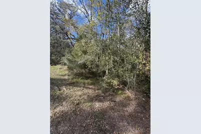 0 Paloma, Bay City, TX 77414 - Photo 8
