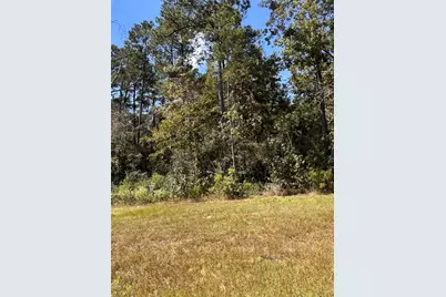 15863 Wood Grove Way, Willis, TX 77378 - Photo 8