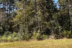 15863 Wood Grv Wy, Willis, TX 77378 - Photo 8