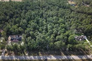 15863 Wood Grv Wy, Willis, TX 77378 - Photo 6