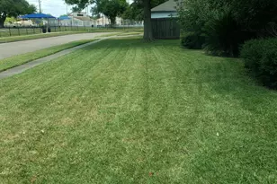 15526 Rio Plaza Dr, Houston, TX 77083 - Photo 4