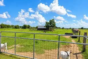 18318 Brumbelow Rd, Needville, TX 77461 - Photo 28