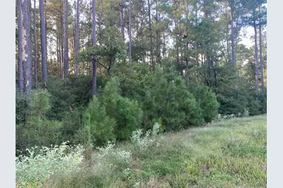 4A-11-44 Sundog Road, Huntsville, TX 77340 - Photo 12