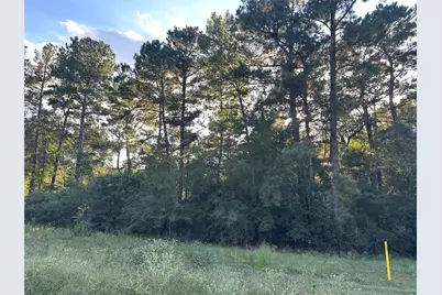 4A-11-44 Sundog Road, Huntsville, TX 77340 - Photo 8