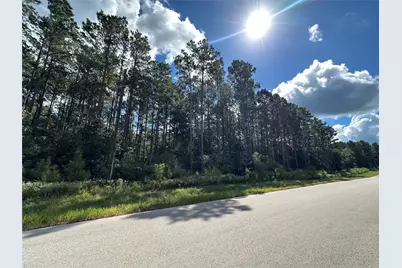 4A-11-44 Sundog Road, Huntsville, TX 77340 - Photo 1