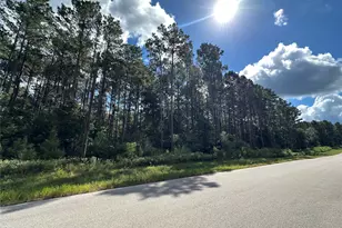 438 Sundog Rd, Huntsville, TX 77340 - Photo 1