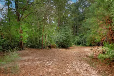 Tbd Sky Oak Lane, Huntsville, TX 77340 - Photo 4